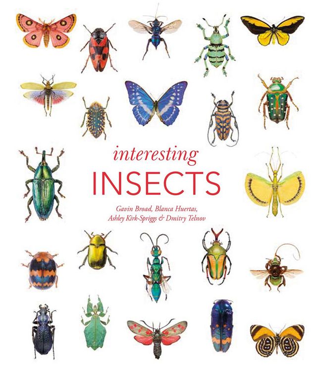 Produktbild: Interesting Insects