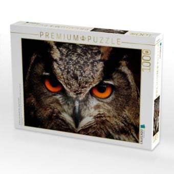 Produktbild: CALVENDO Puzzle Ein Bild aus dem Kalender Eulen - Augen der Nacht | 1000 Teile Lege-Gr&ouml;&szlig;e 64x48cm Foto-Puzzle f&uuml;r gl&uuml;ckliche Stunden