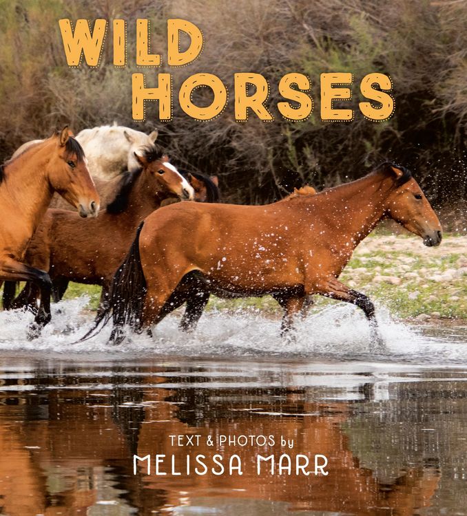 Produktbild: Wild Horses