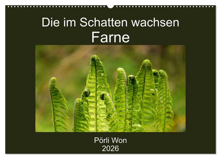 Produktbild: Die im Schatten wachsen - Farne (Wandkalender 2026 DIN A2 quer), CALVENDO Monatskalender