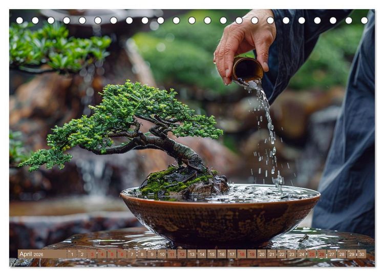 Produktbild: Bonsai meditativ (Tischkalender 2026 DIN A5 quer), CALVENDO Monatskalender