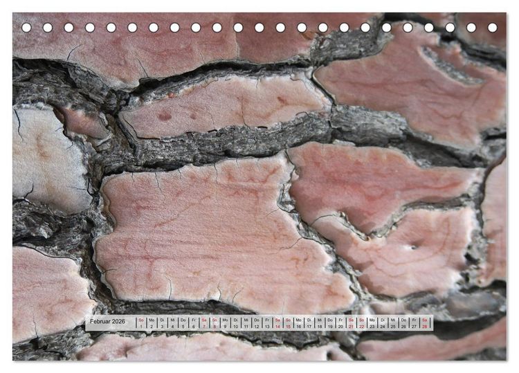 Produktbild: organische Strukturen Abstrakte Formen der Natur (Tischkalender 2026 DIN A5 quer), CALVENDO Monatskalender