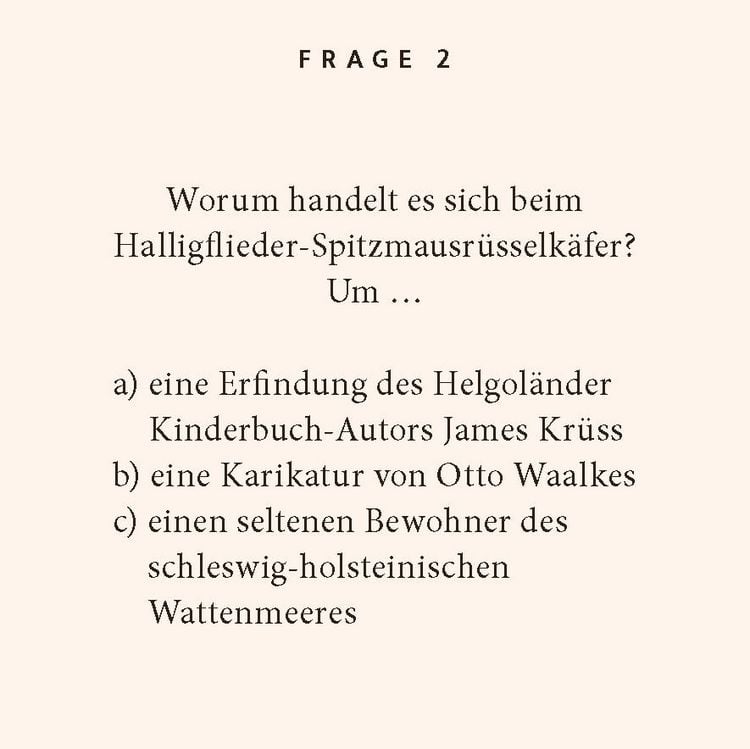 Produktbild: Nordseek&uuml;ste-Quiz