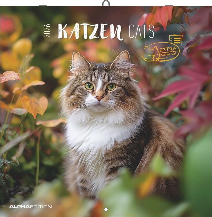 Produktbild: Katzen 2026 - Broschürenkalender 30x30 cm (30x60 geöffnet) - Kalender mit Platz für Notizen - Cats - Bildkalender - Wandplaner - Katzenkalender