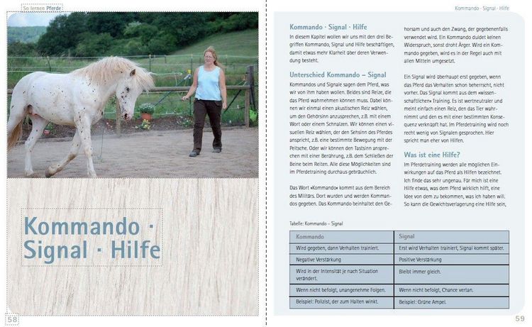 Produktbild: So lernen Pferde
