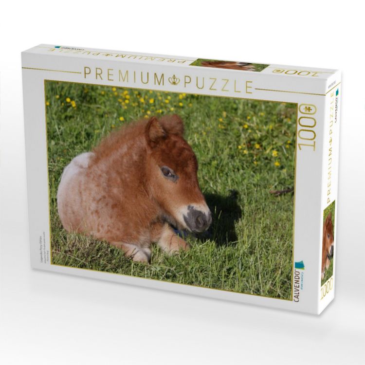 Produktbild: CALVENDO Puzzle Liegendes Pony-Fohlen | 1000 Teile Lege-Gr&ouml;&szlig;e 64x48cm Foto-Puzzle f&uuml;r gl&uuml;ckliche Stunden
