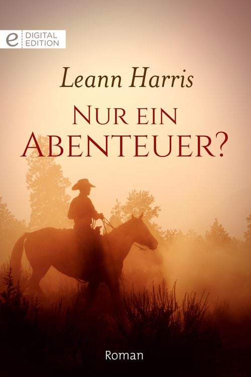 Produktbild: Nur ein Abenteuer?
