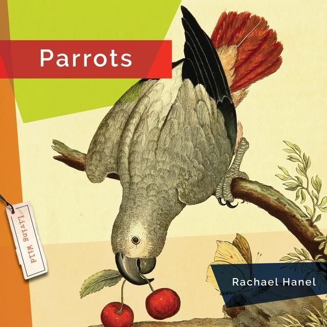 Produktbild: Parrots