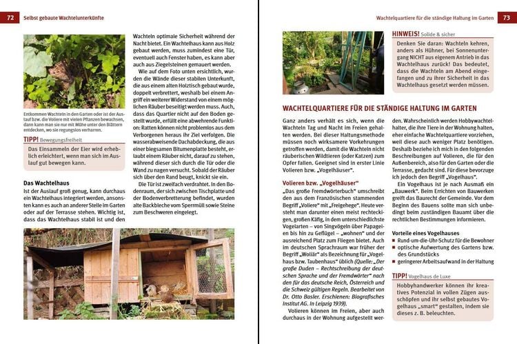 Produktbild: Wachteln