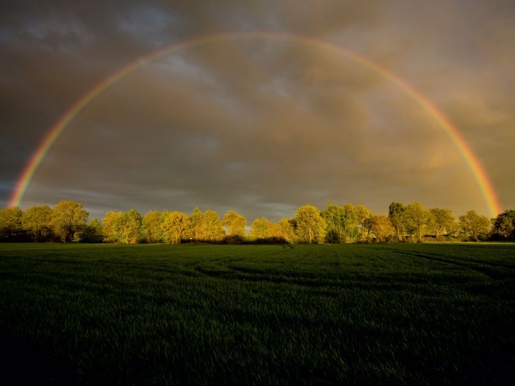 Produktbild: CALVENDO Puzzle Regenbogen in Klein Wesenberg | 1000 Teile Lege-Gr&ouml;&szlig;e 64x48cm Foto-Puzzle f&uuml;r gl&uuml;ckliche Stunden