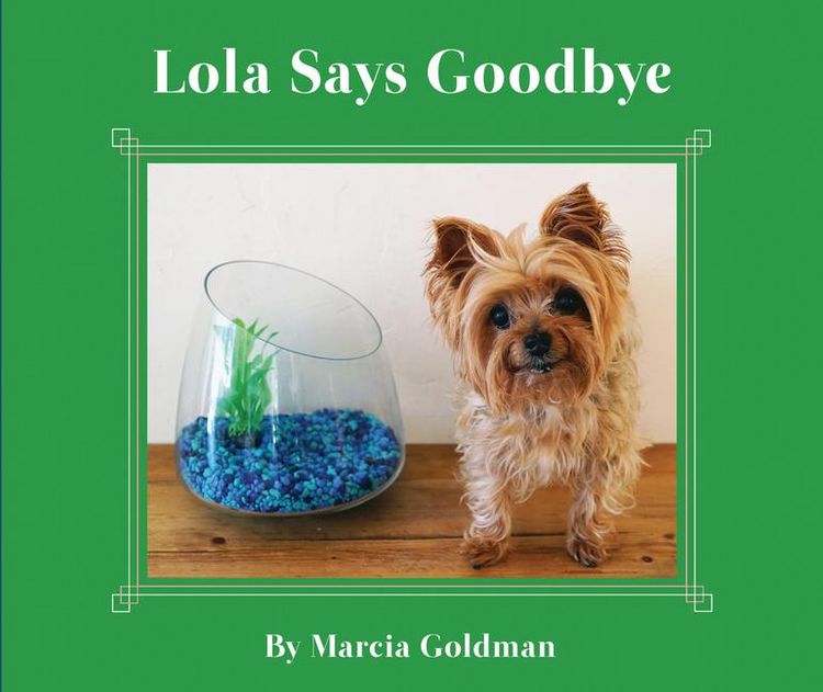 Produktbild: Lola Says Goodbye