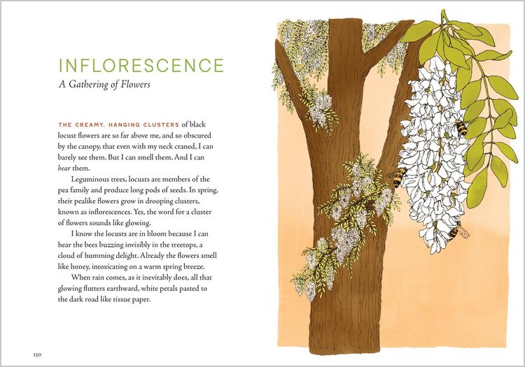 Produktbild: A Forest Language