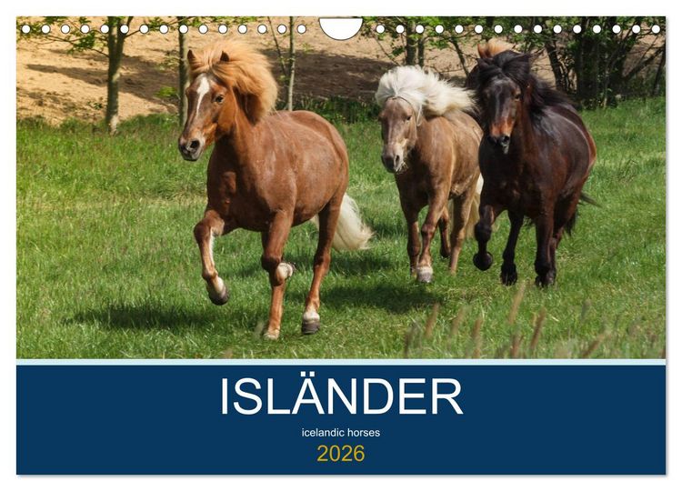 Produktbild: Isl&auml;nder - icelandic horses (Wandkalender 2026 DIN A4 quer), CALVENDO Monatskalender