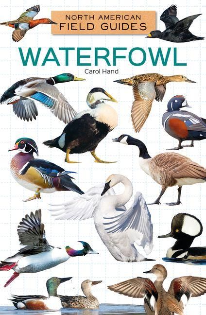 Produktbild: Waterfowl