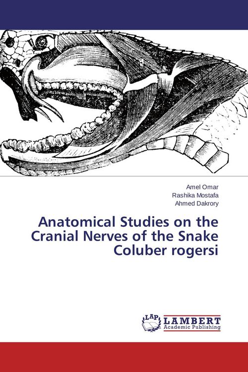 Produktbild: Anatomical Studies on the Cranial Nerves of the Snake Coluber rogersi