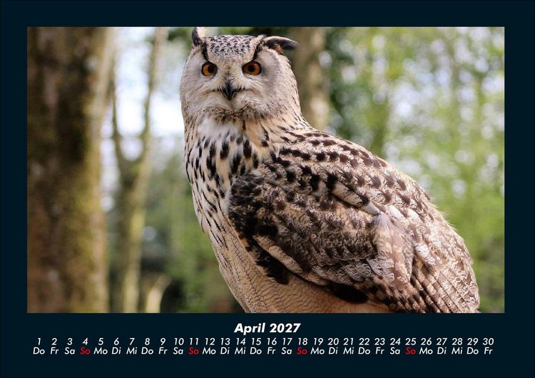 Produktbild: Welt der V&ouml;gel 2027 Fotokalender DIN A4