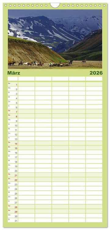 Produktbild: Familienplaner 2026 - Die Pferde Islands mit 5 Spalten (Wandkalender, 21 x 45 cm) CALVENDO