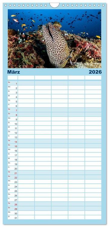 Produktbild: Familienplaner 2026 - Faszinierende Meereswelt der Malediven mit 5 Spalten (Wandkalender, 21 x 45 cm) CALVENDO