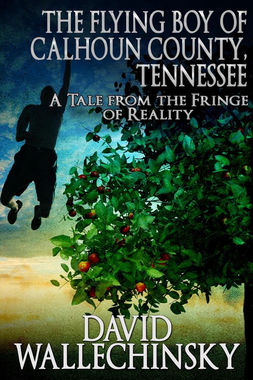 Produktbild: The Flying Boy of Calhoun County, Tennessee: A Tale from the Fringe of Reality
