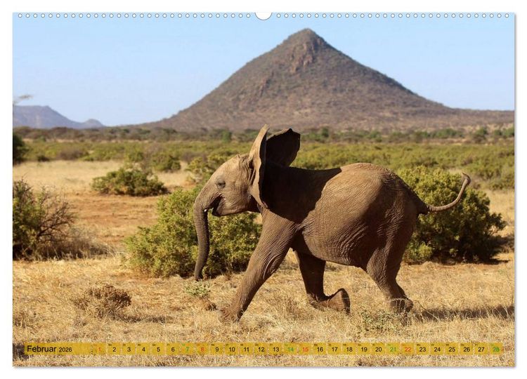 Produktbild: Afrika - im Reich der Elefanten (hochwertiger Premium Wandkalender 2026 DIN A2 quer), Kunstdruck in Hochglanz