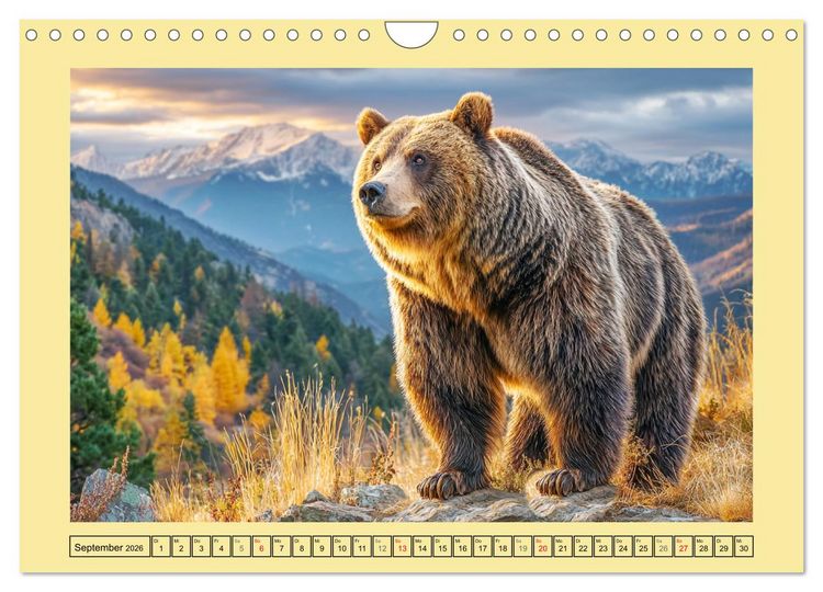 Produktbild: Im Herz der Wildnis. Die beeindruckende St&auml;rke und Stille der B&auml;ren (Wandkalender 2026 DIN A4 quer), CALVENDO Monatskalender