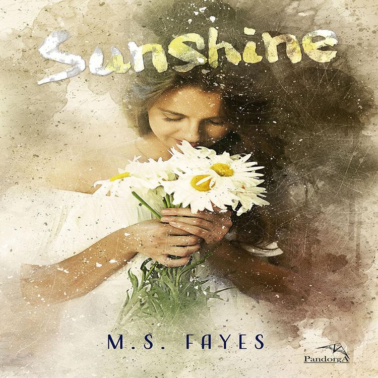 Produktbild: Sunshine - Irm&atilde;os Walker: Livro 2