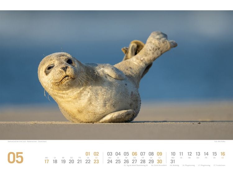 Produktbild: Nordsee ReiseLust Kalender 2027 | von Ostfriesland bis nach Sylt