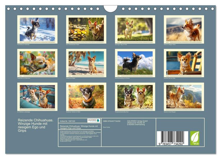 Produktbild: Reizende Chihuahuas. Winzige Hunde mit riesigem Ego und Grips (Wandkalender 2026 DIN A4 quer), CALVENDO Monatskalender