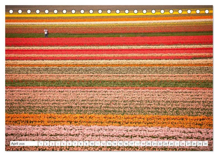 Produktbild: Die ganze Vielfalt der Niederlande (Tischkalender 2026 DIN A5 quer), CALVENDO Monatskalender