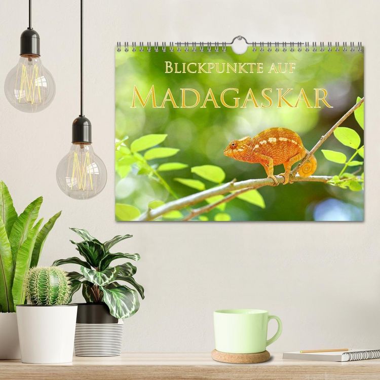 Produktbild: Blickpunkte auf Madagaskar (Wandkalender 2027 DIN A4 quer), CALVENDO Monatskalender