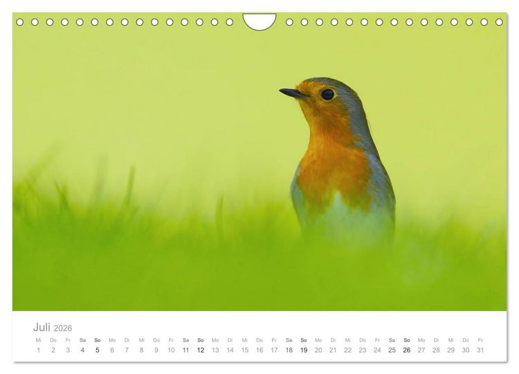 Produktbild: V&ouml;gel in unseren G&auml;rten 2026 (Wandkalender 2026 DIN A4 quer), CALVENDO Monatskalender