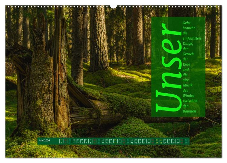 Produktbild: WALD Erholung pur (hochwertiger Premium Wandkalender 2026 DIN A2 quer), Kunstdruck in Hochglanz