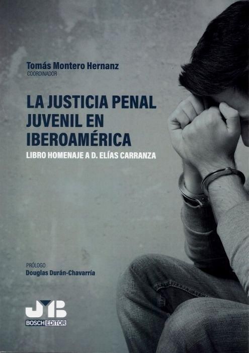 Produktbild: La justicia penal juvenil en Iberoam&eacute;rica : libro homenaje a D. El&iacute;as Carranza