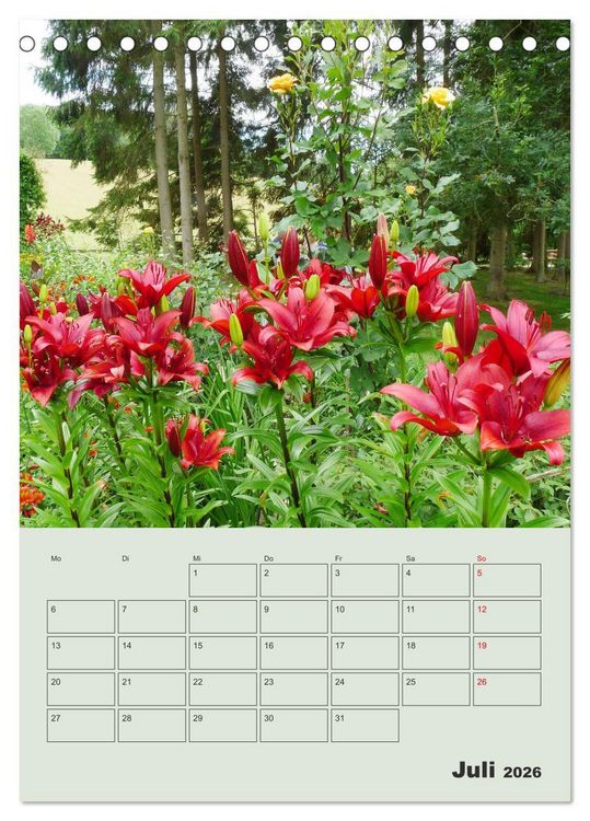 Produktbild: Lilien im Garten (Tischkalender 2026 DIN A5 hoch), CALVENDO Monatskalender