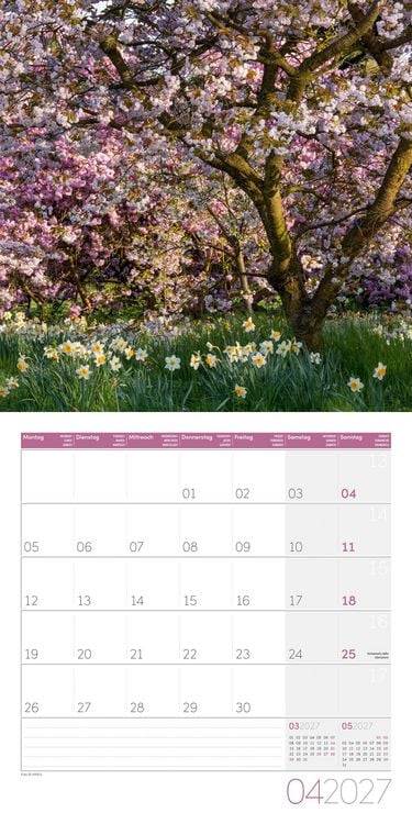 Produktbild: In meinem Garten Kalender 2027 - 30x30 - Art12