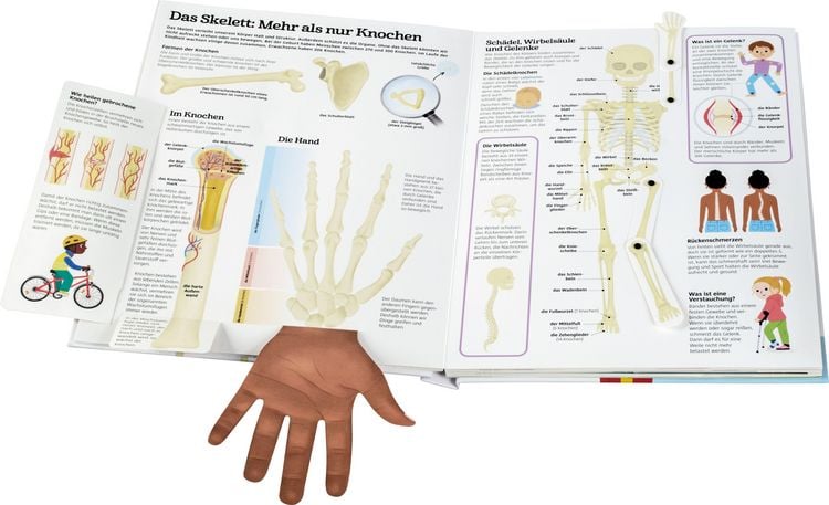 Produktbild: Mein gro&szlig;es K&ouml;rperbuch