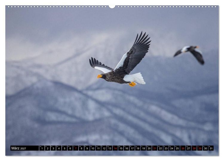 Produktbild: Japanische Vogelwelt im Winter (hochwertiger Premium Wandkalender 2027 DIN A2 quer), Kunstdruck in Hochglanz