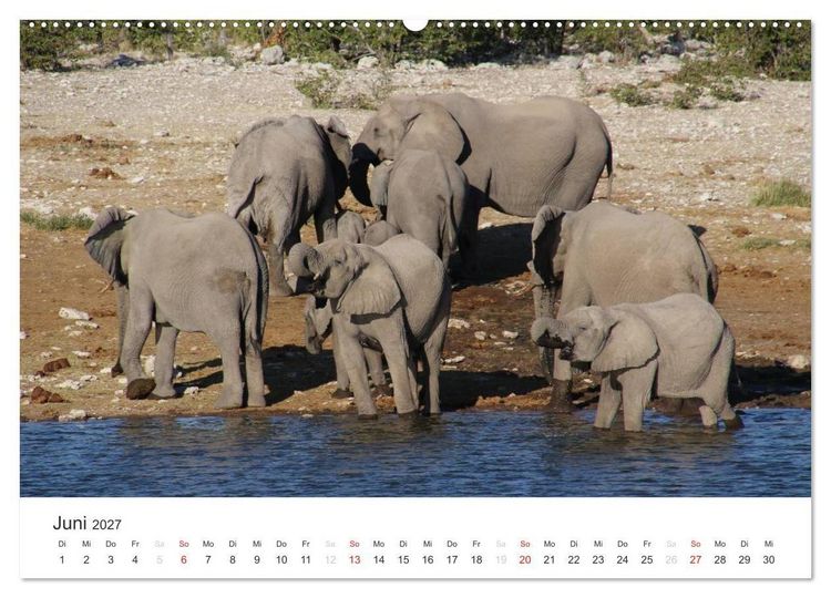Produktbild: Namibia - Tierische Vielfalt (Wandkalender 2027 DIN A2 quer), CALVENDO Monatskalender