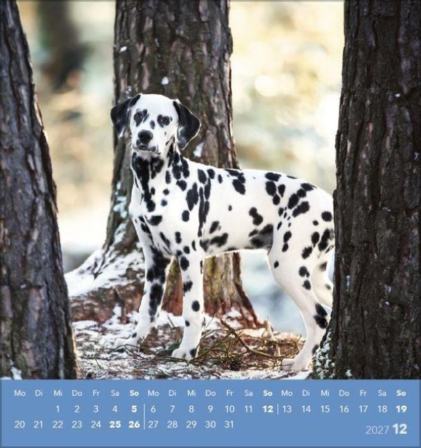 Produktbild: Hunde 2027