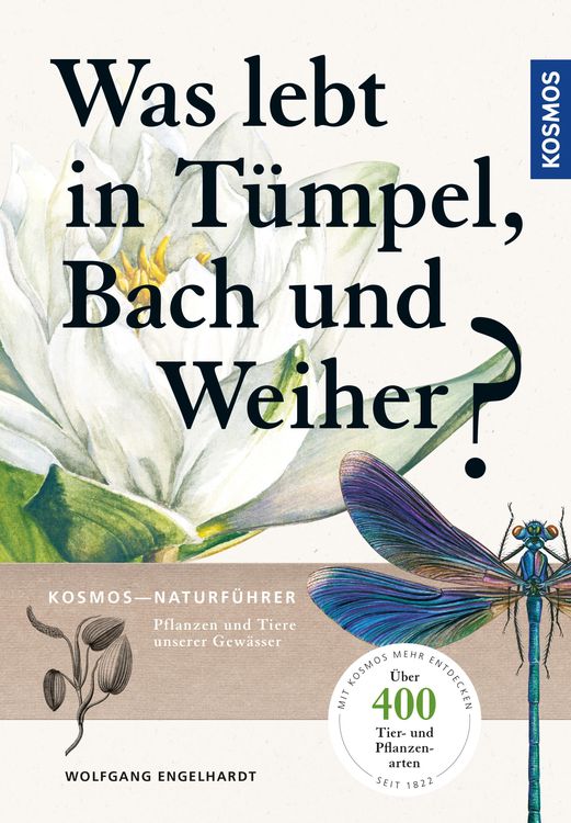 Produktbild: Was lebt in T&uuml;mpel, Bach und Weiher
