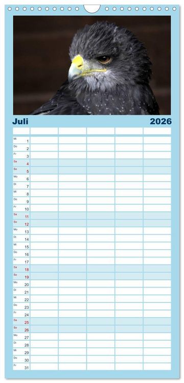 Produktbild: Familienplaner 2026 - Greifv&ouml;gel, Eulen und K&auml;uze mit 5 Spalten (Wandkalender, 21 x 45 cm) CALVENDO