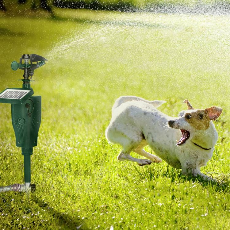 Produktbild: Gardigo Tierabwehrger&auml;t Funktionsart Solar, Wasserstrahl 1St.
