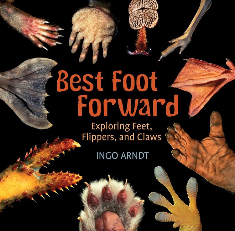 Produktbild: Best Foot Forward