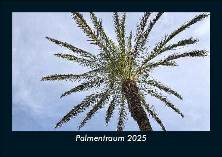 Produktbild: Palmentraum 2025 Fotokalender DIN A5