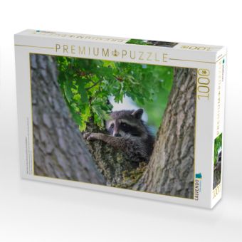 Produktbild: CALVENDO Puzzle Waschb&auml;r in Baumkrone zwischen Eichenbl&auml;ttern | 1000 Teile Lege-Gr&ouml;&szlig;e 64x48cm Foto-Puzzle f&uuml;r gl&uuml;ckliche Stunden