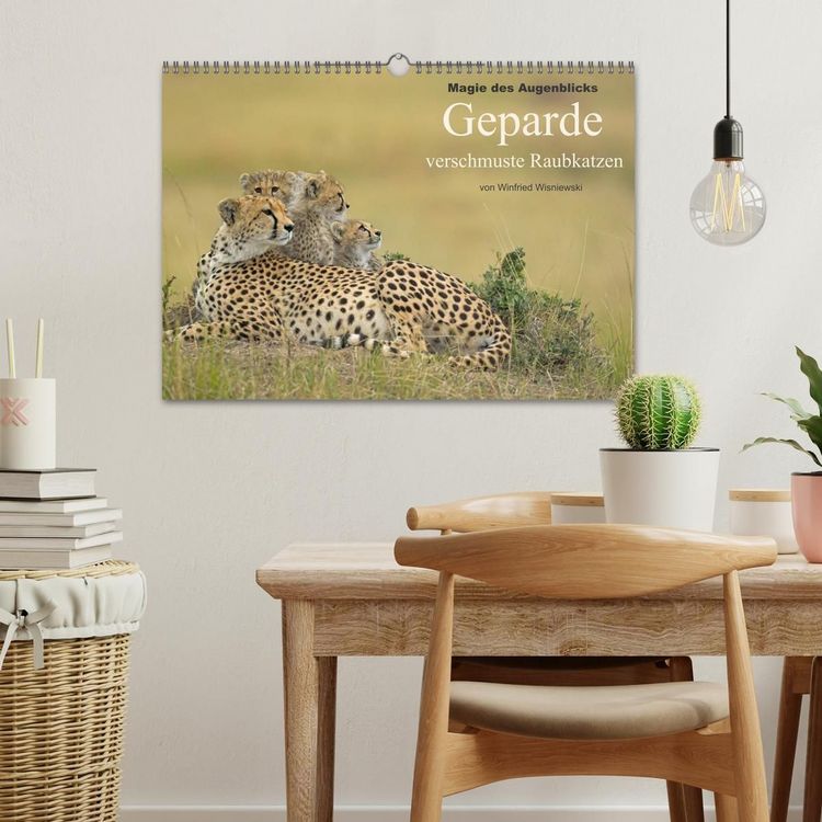 Produktbild: Magie des Augenblicks: Geparde - verschmuste Raubkatzen (Wandkalender 2027 DIN A3 quer), CALVENDO Monatskalender