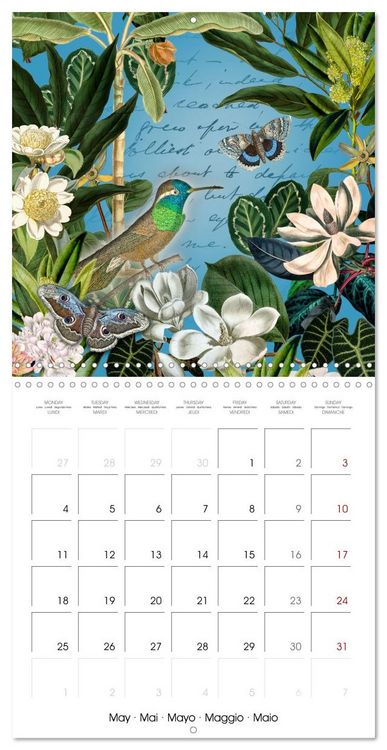 Produktbild: Lovely hummingbirds (Wall Calendar 2026 12 &times; 12 Inch) CALVENDO 12 Month Wall Calendar