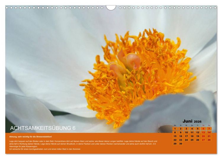 Produktbild: Achtsamkeit, 12 &Uuml;bungen zu mehr Achtsamkeit. (Wandkalender 2026 DIN A3 quer), CALVENDO Monatskalender