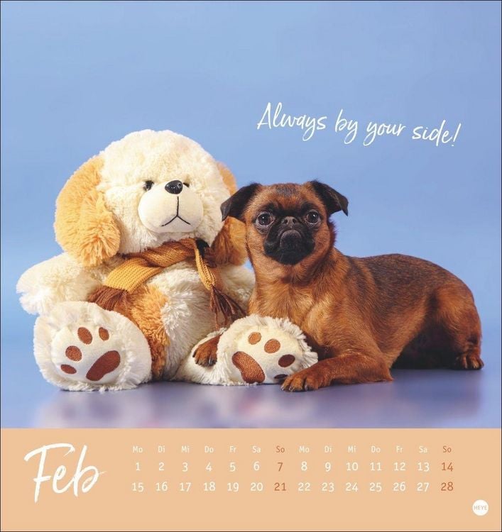 Produktbild: Ziemlich beste Freunde Postkartenkalender 2027 - F&uuml;r immer dein