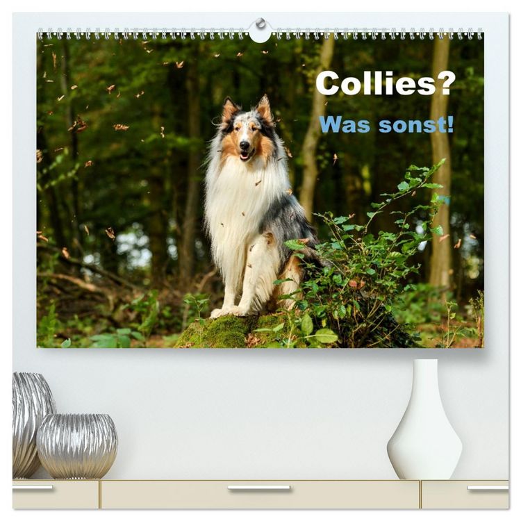 Produktbild: Collies? Was sonst! (hochwertiger Premium Wandkalender 2026 DIN A2 quer), Kunstdruck in Hochglanz
